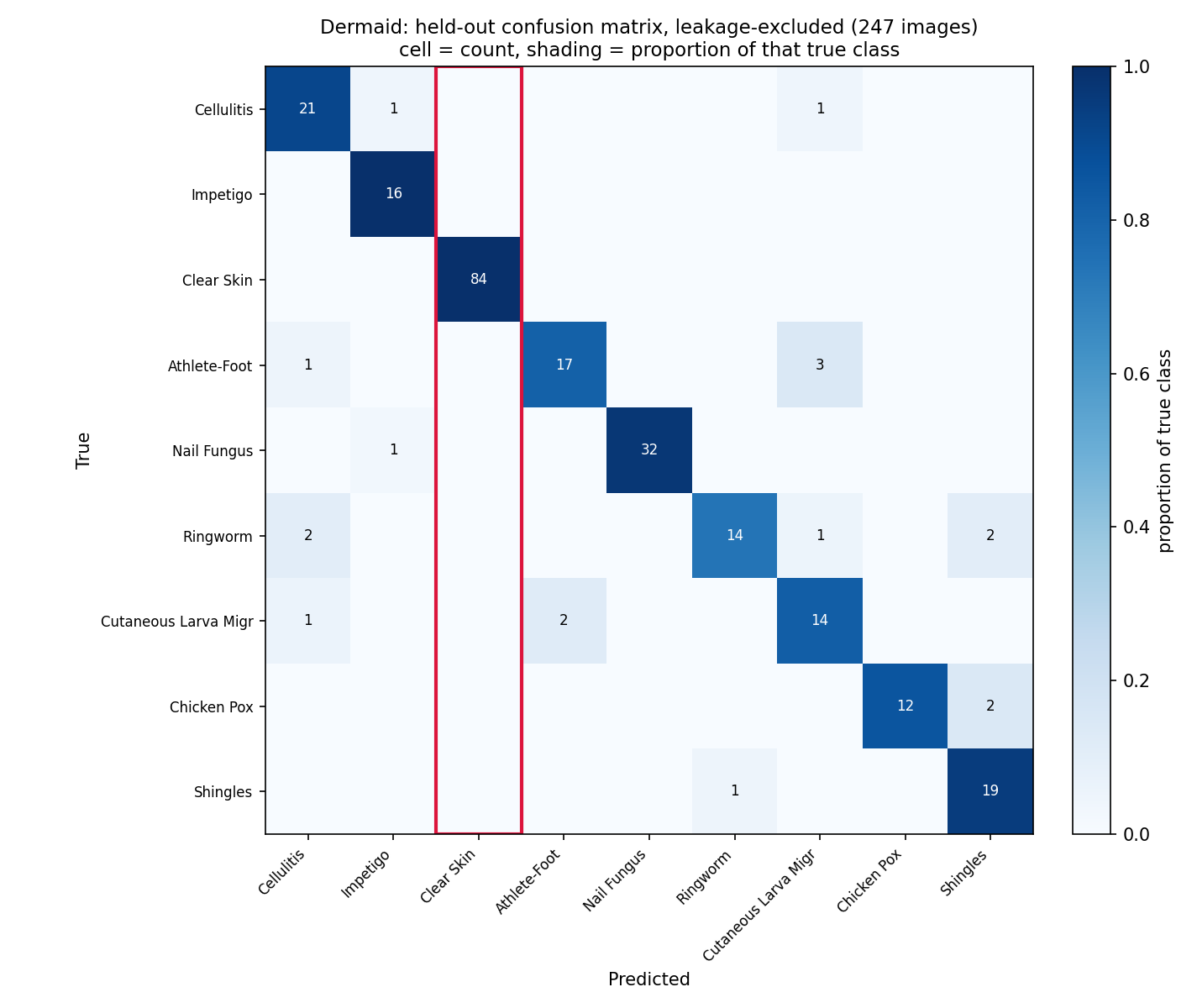 Confusion matrix for the nine skin condition classes on the deduplicated 247-image test set